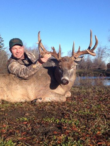 mobile - carousel-hero-element image-1