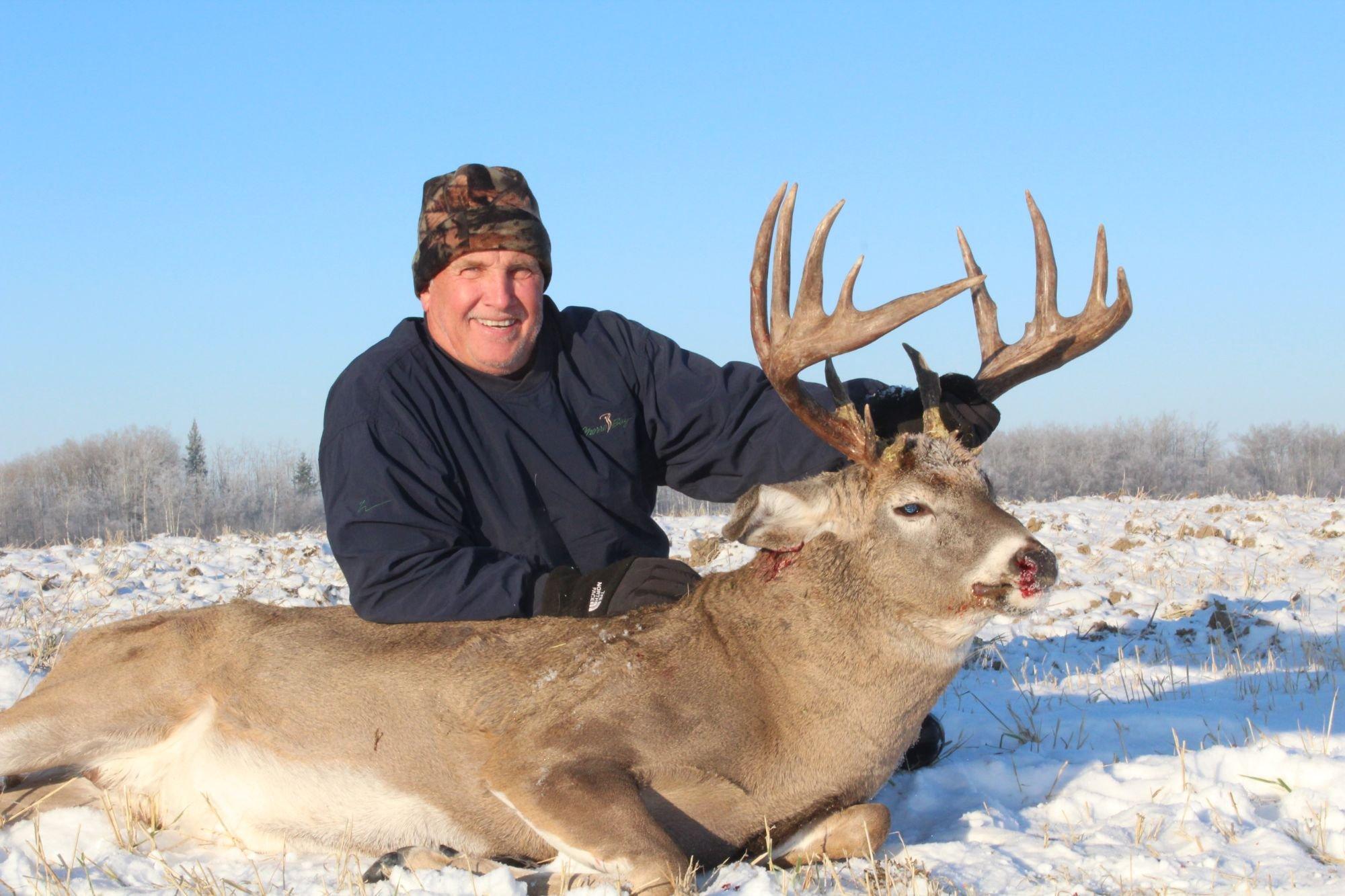 carousel-hero-element image-4