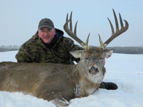 mobile - carousel-hero-element image-3